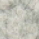 Marmor